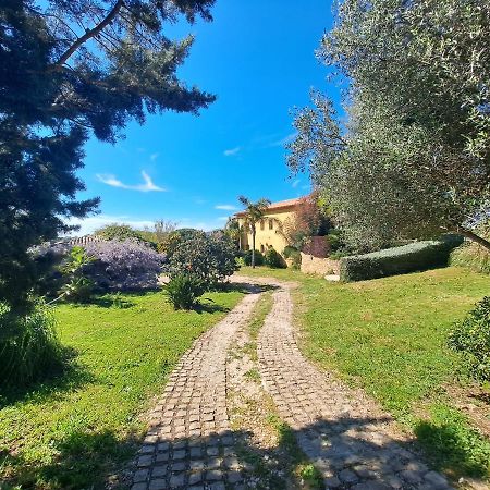 Rez De Jardin Villa Presqu'Ile De Giens Ιέρ Εξωτερικό φωτογραφία